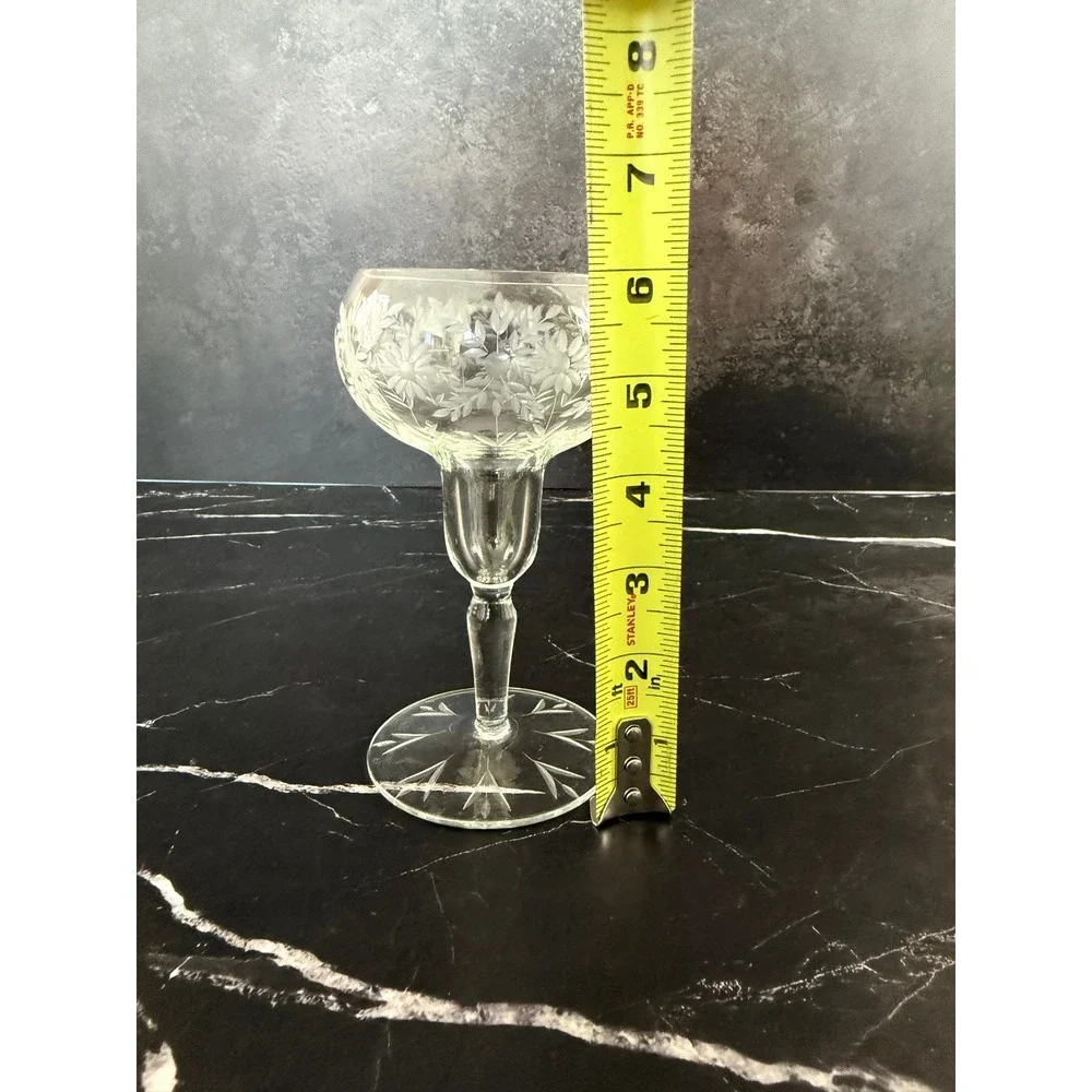 RARE Vintage Fostoria Daisy Etched Bulbous 6in Wine Glass